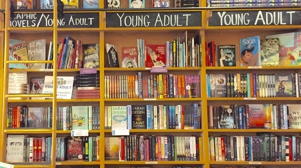 young adult book genre